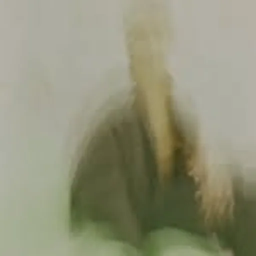 @hewan.aman profile image