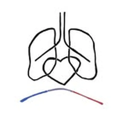 @hhpfoundation profile image