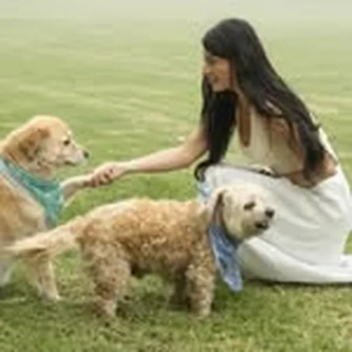 @hicarsondogs profile image