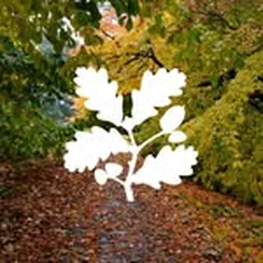 @hidcotent profile image