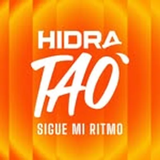 @hidra.tao profile image