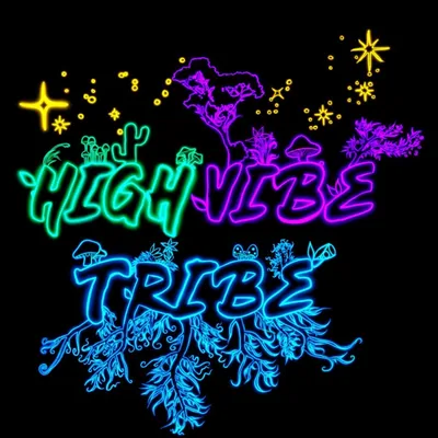 @highvibetriiibe profile image