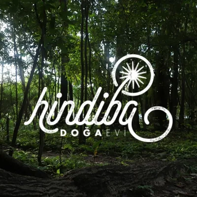 @hindiba_dogaevi profile image