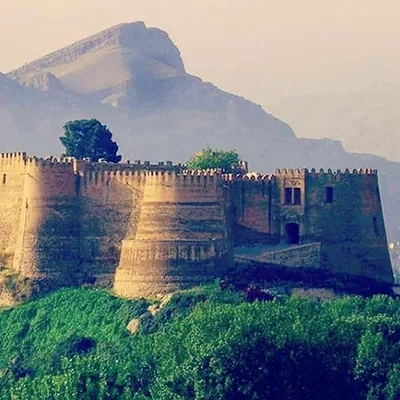 @historical_castle profile image