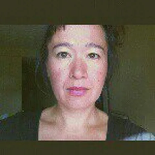 @hito_steyerl profile image