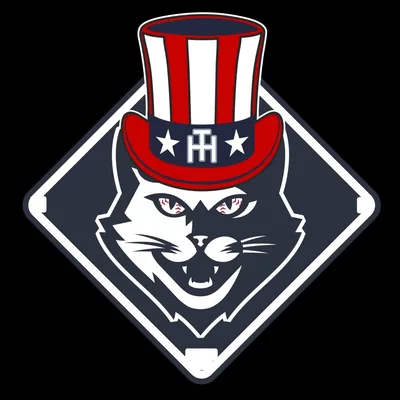 @hitomsbaseball profile image