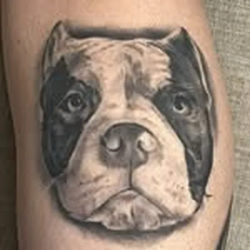 @hitonetattoos profile image