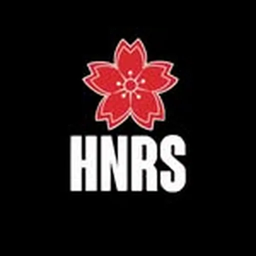 @hnrsoc profile image