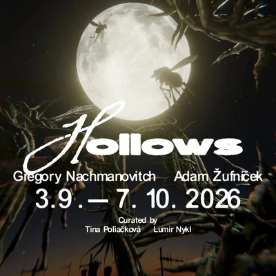 @holesovickasachta profile image