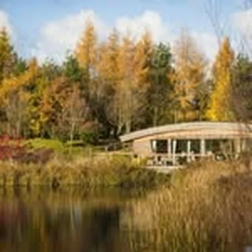 @holidayathomeyorkshire profile image