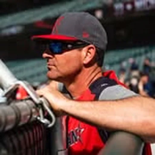 @holistic_hitting profile image