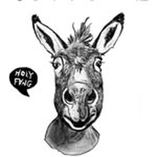 @holy_fang profile image