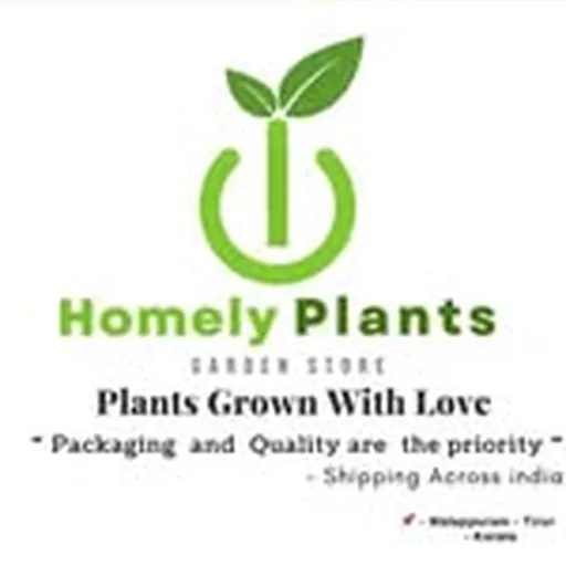 @homely_plants profile image