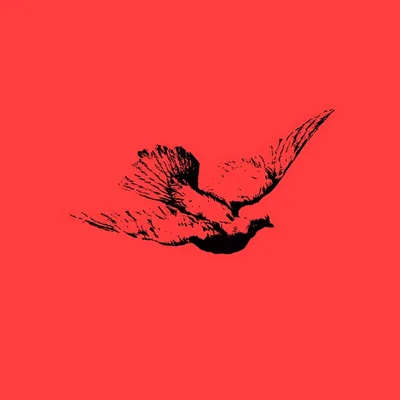 @honorsmusic profile image