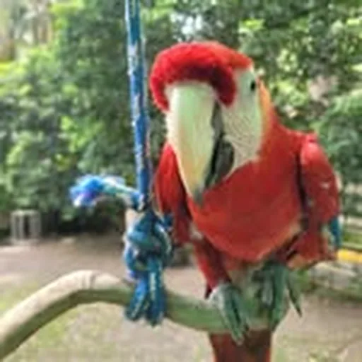 @hopezookingston profile image