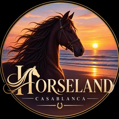 @horseland__casablanca profile image