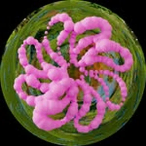 @horstartsandmusic profile image