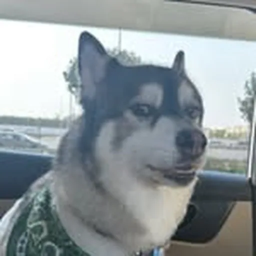 @hoyjear profile image