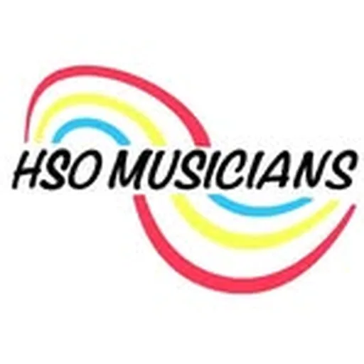 @hsomusicians profile image