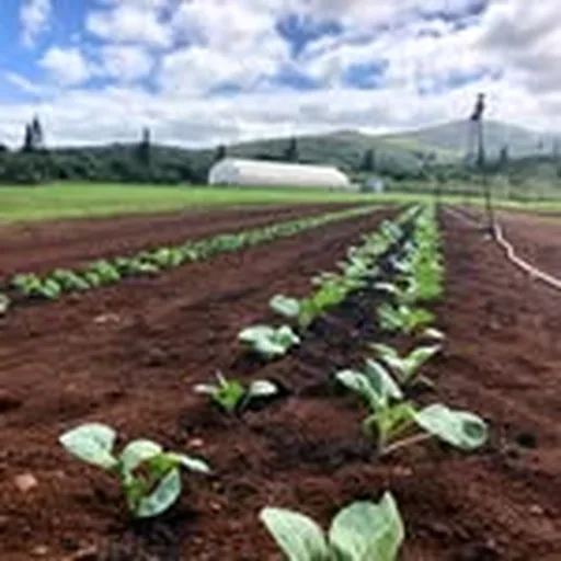 @huamomonafarms profile image