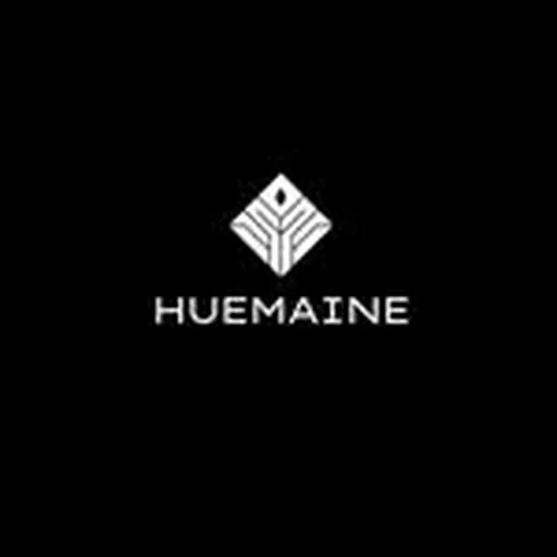 @huemaine profile image