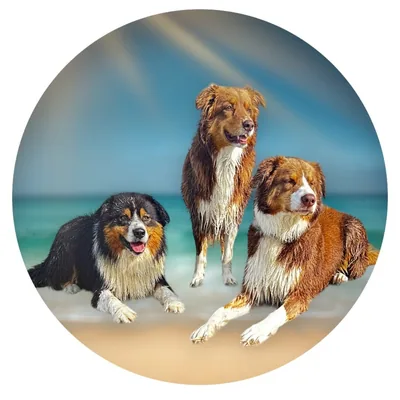 @hueterdeslicht_s profile image