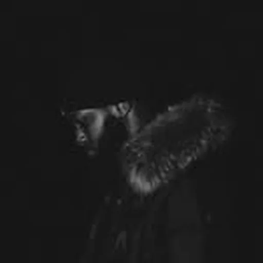 @humbeats profile image