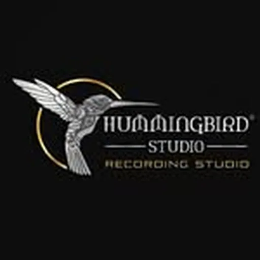 @hummingbirdstudiosfr profile image
