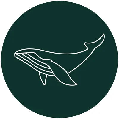 @humpback.sg profile image
