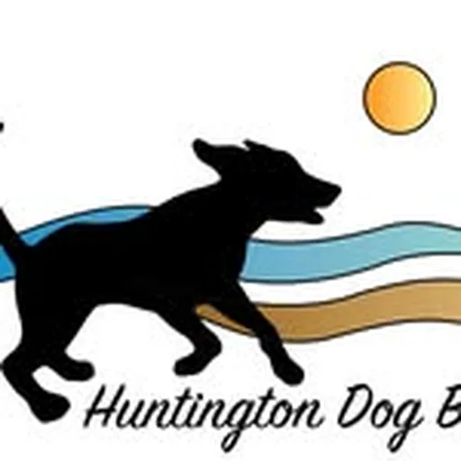 @huntingtondogbeach profile image