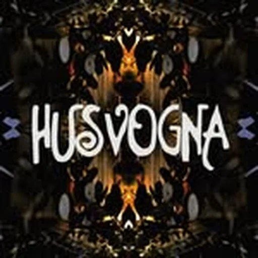 @husvogna profile image