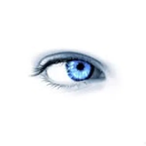 @hwimmm profile image