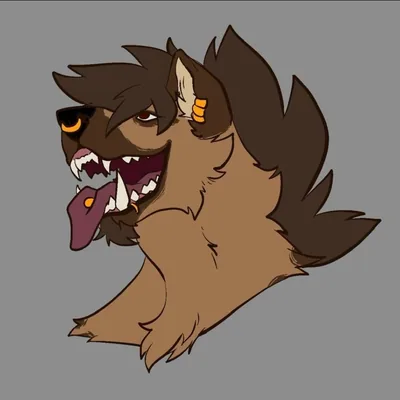 @hyena_kuro profile image