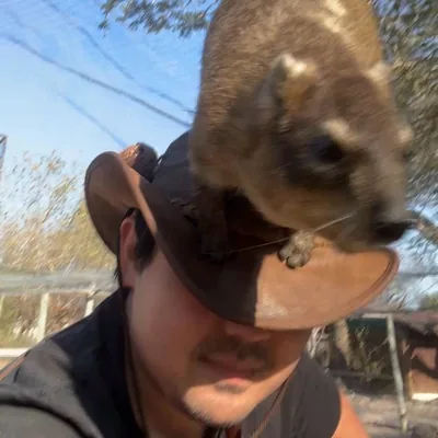@hyraxhub profile image