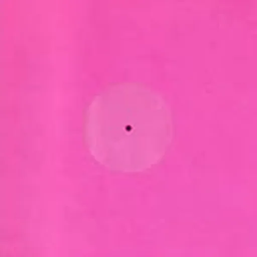 @iammarkronson profile image