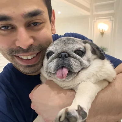 @iamprateekyadav profile image
