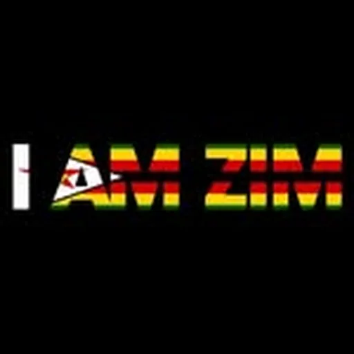 @iamzimpr profile image