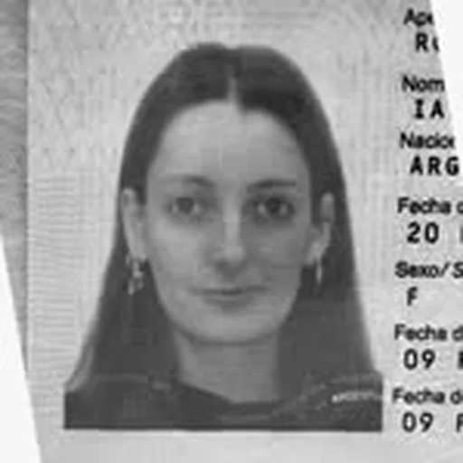 @iaramaxwell profile image
