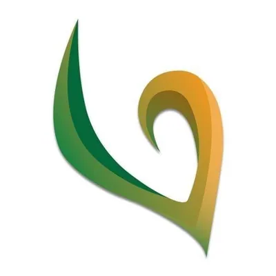 @ibf_southafrica profile image