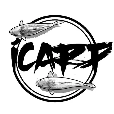 @icarp.pl profile image