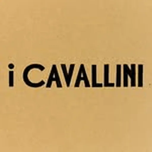 @icavallinibk profile image
