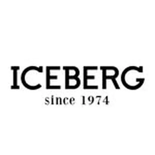 @iceberg profile image