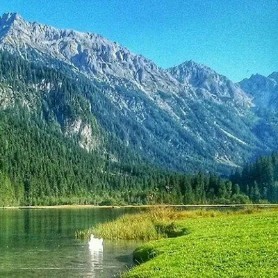 @ig__austria profile image