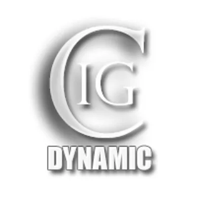@ig_dynamic profile image