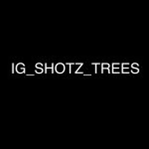 @ig_shotz_trees profile image