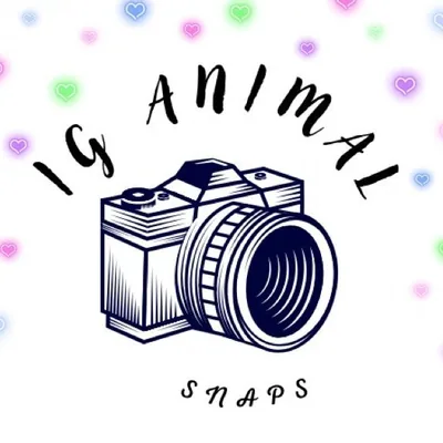 @iganimal_snaps profile image