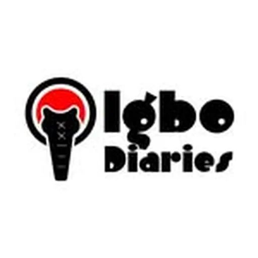 @igbodiaries profile image