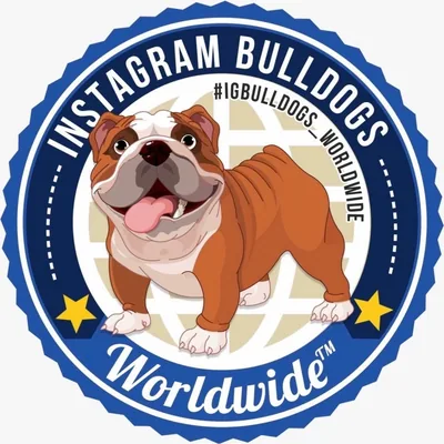 @igbulldogs_worldwide profile image