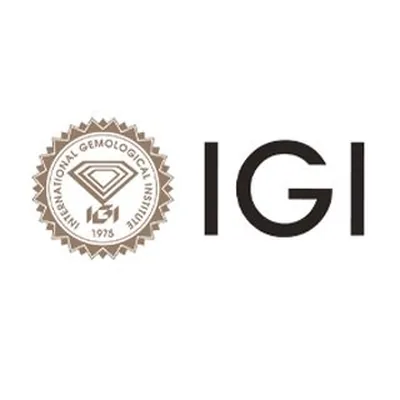 @igiworldwide profile image