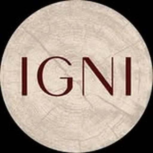 @ignilondon_ profile image